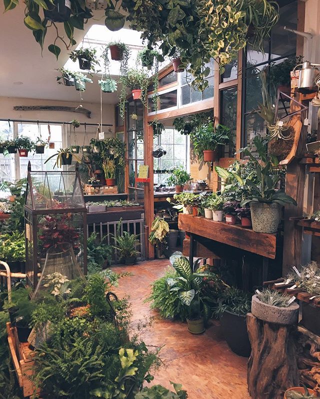 a room filled with lots of potted plants