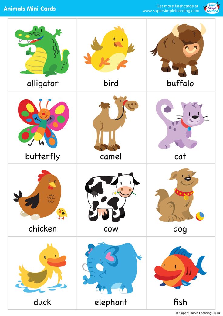 an animal alphabet game with pictures of different animals