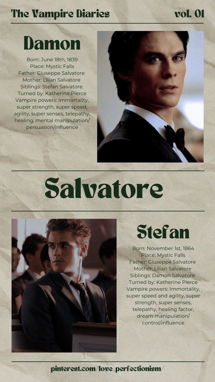 the vampire diaries, vol 01 salvatore siefan infografion