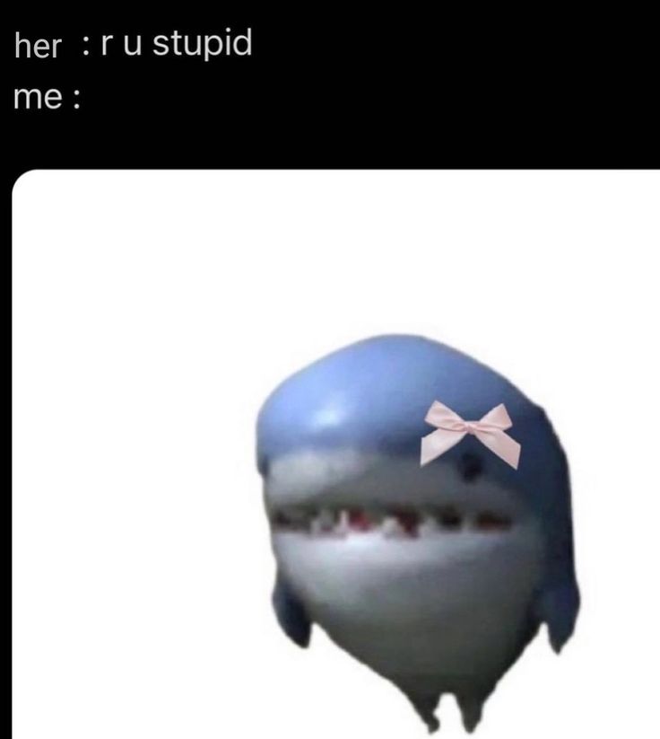 a shark with a bow on it's head and the caption that says, when