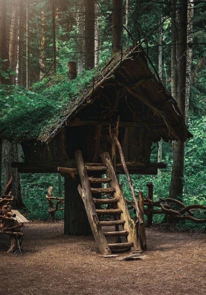 an old log cabin in the woods with stairs leading up to it's roof