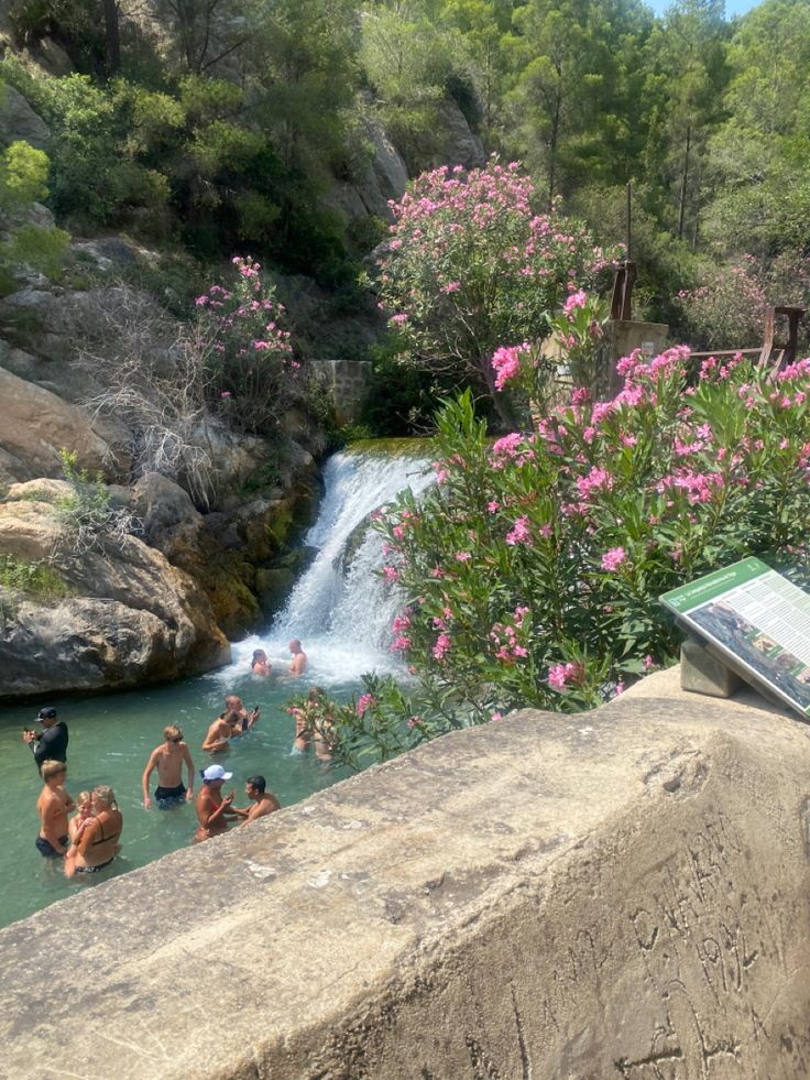 several people are swimming in the water near some rocks and pink flowers, with a waterfall behind them