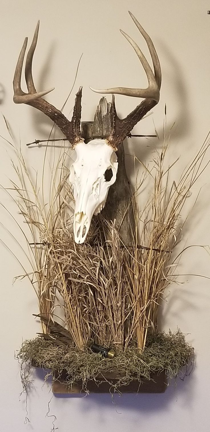 an animal head mounted to the side of a wall next to dry grass and weeds