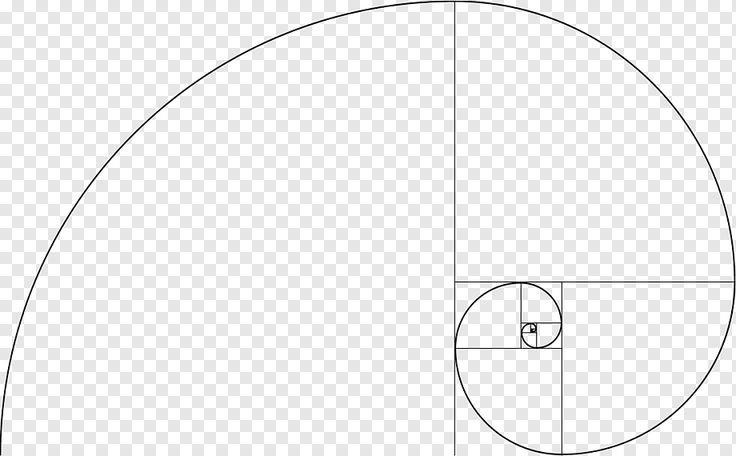 a drawing of an oval with a half circle in the center, on a transparent background