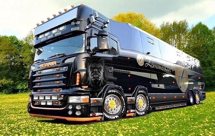 a large black bus parked on top of a lush green field