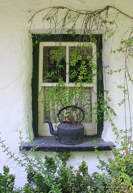 an old window with vines growing on it and a watering can in the window sill