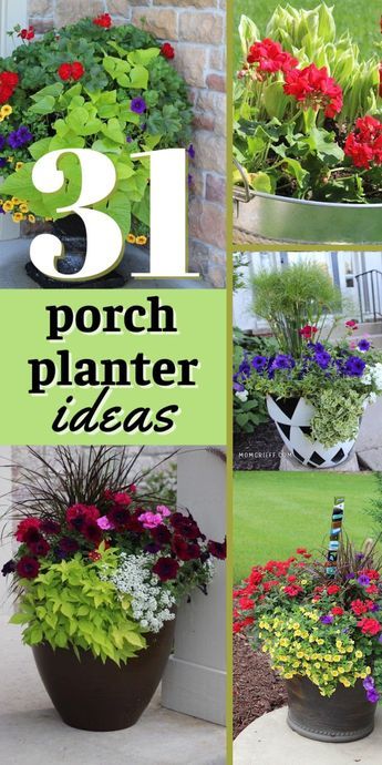 four different pictures of flowers in pots with the words 31 porch planter ideas