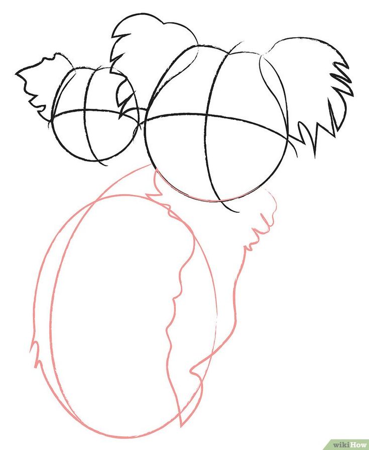 how to draw an animal head from the side with two balls in it's mouth