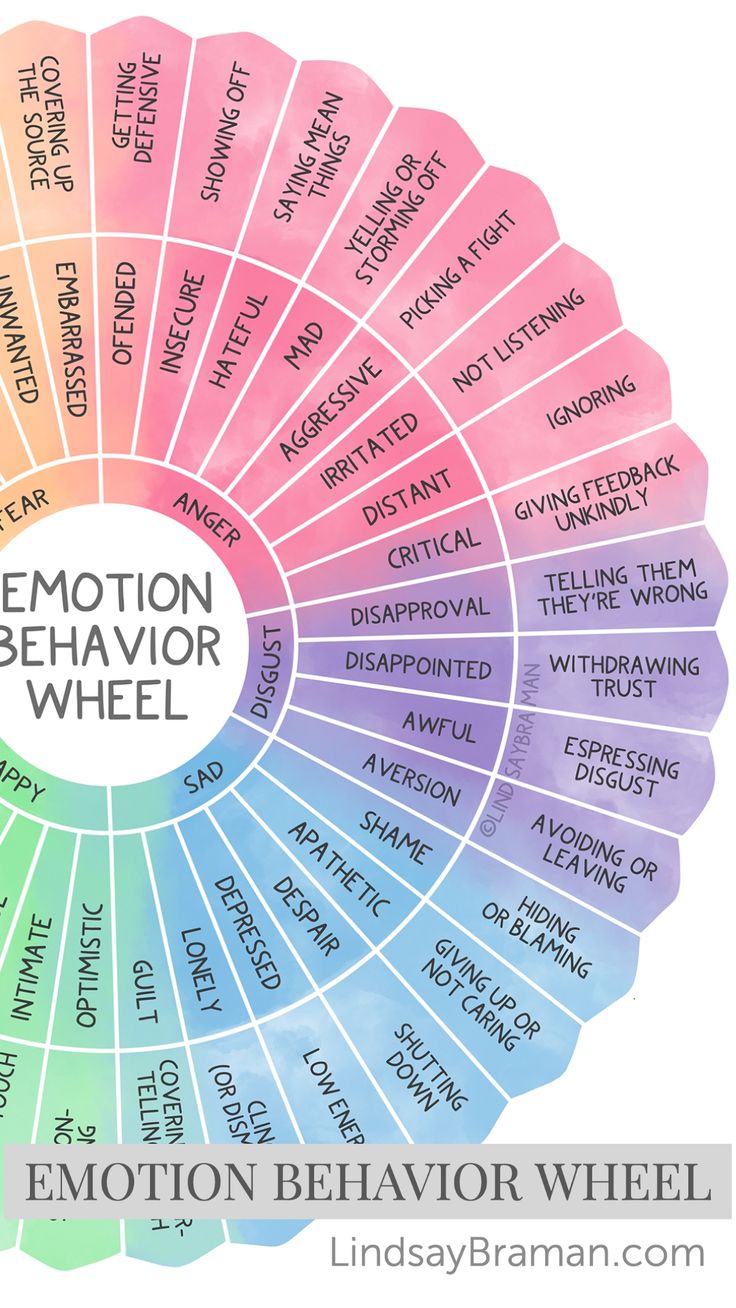 Feeling wheels are useful tools for growing our awareness of our internal world. This new Emotion Behavior Wheel connects feelings and behaviors in a way that can grow insight into how emotions shape the behavior of ourselves and others. With skilled use, the Emotion Behavior Wheel can be a tool to foster social-emotional learning in children, build empathy in people of all ages, and help neurodiverse individuals decode how humans communicate emotion through behavior. Emotion Behavior Wheel, How To Build Self Awareness, How Emotions Feel, How To Work Through Emotions, Emotion Wheel Feelings Chart, How To Process Emotions, Emotion Spectrum, Feelings Wheel Printable, I Feel Statements