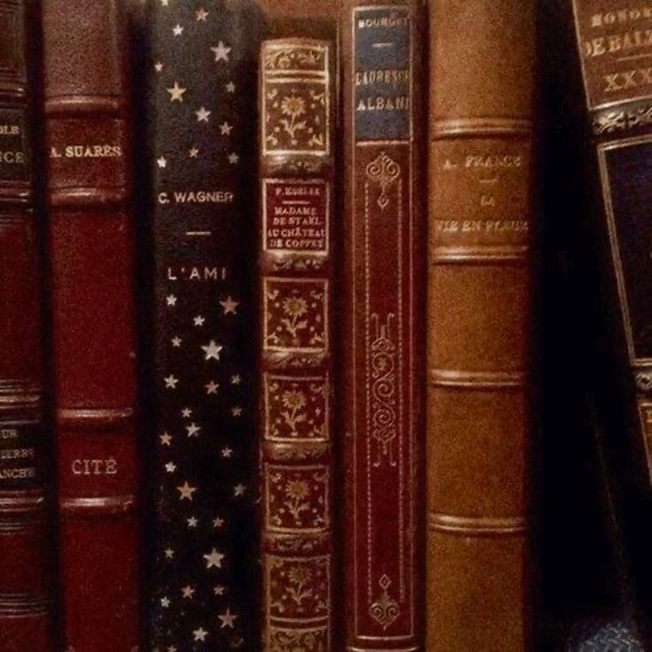 a row of books sitting on top of a book shelf next to eachother