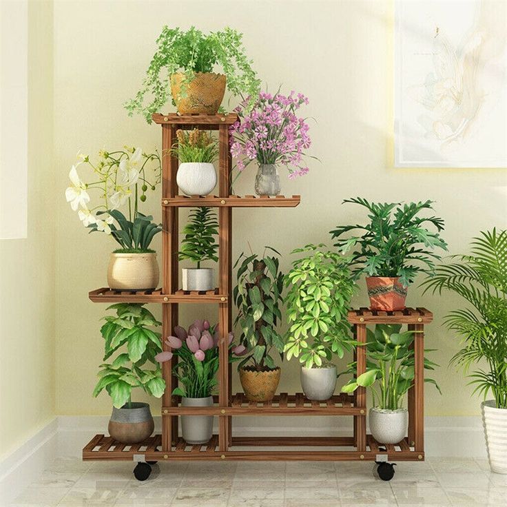 there are many potted plants on the shelves