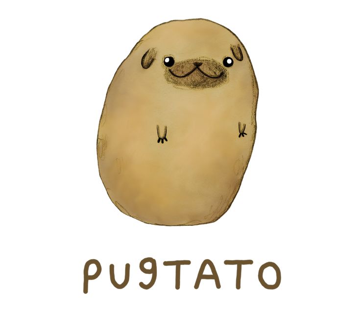 a drawing of a potato with the words pugtato on it's face