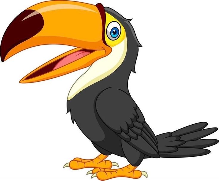 a cartoon toucan bird standing on one leg