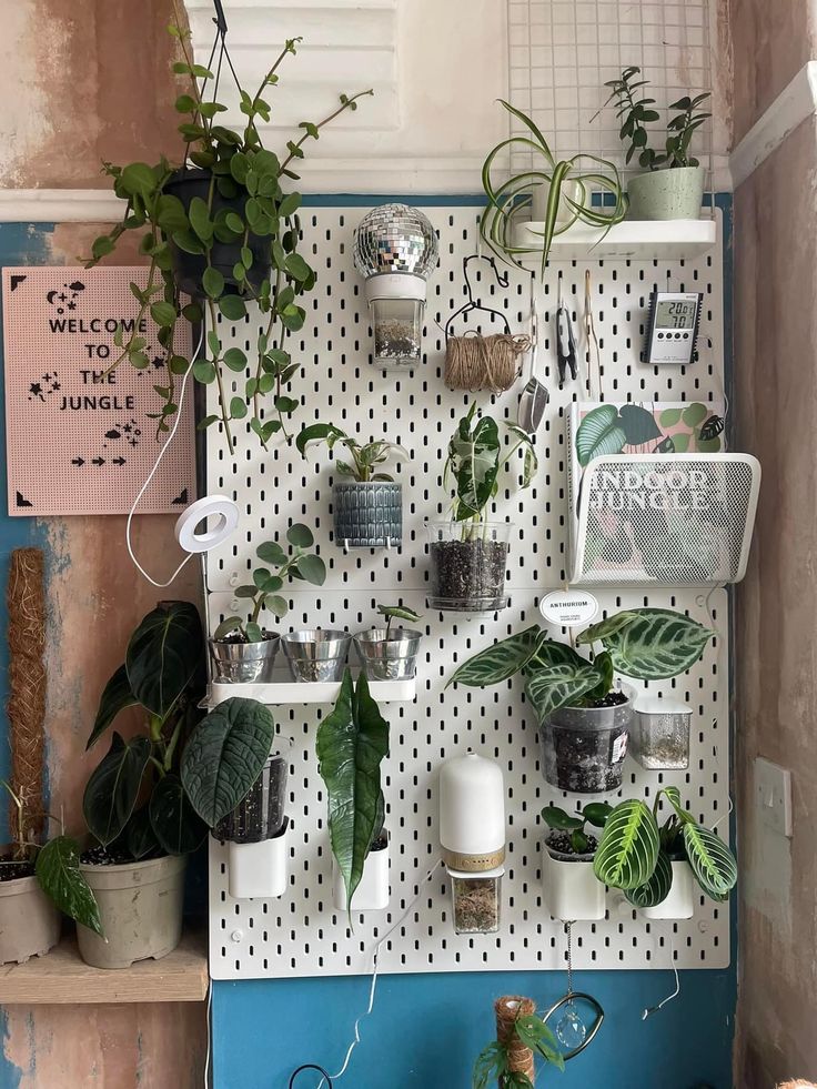 there are many houseplants on the pegboard in this room, including plants