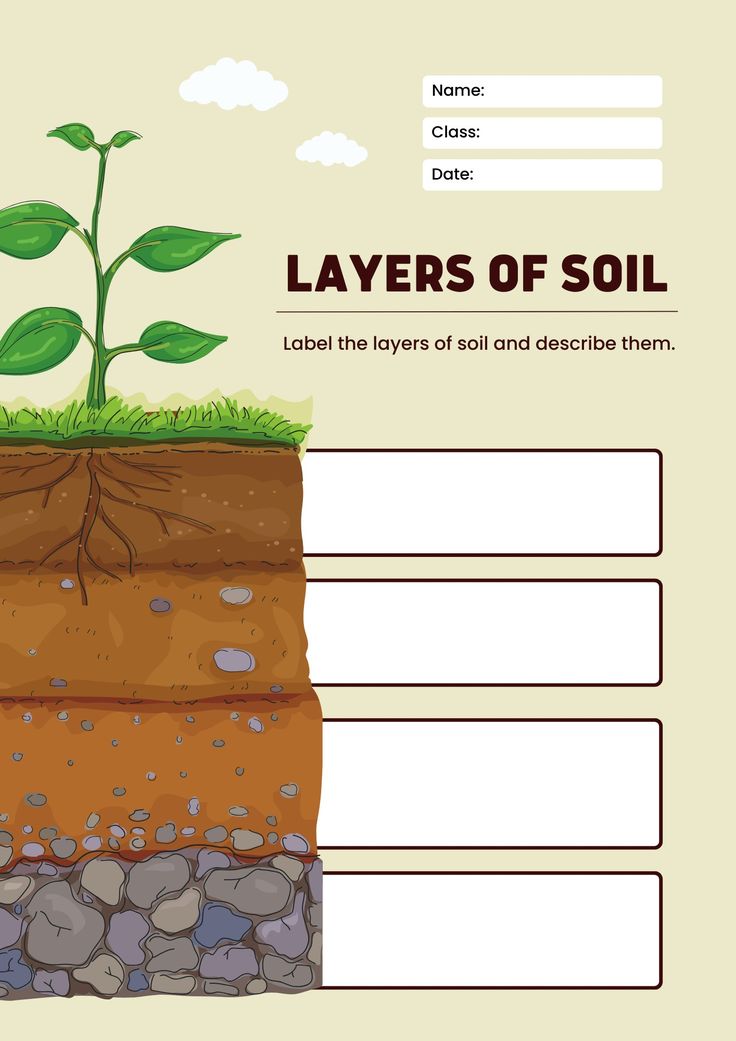 layers of soil worksheet with rocks and plants on it, labeled in red