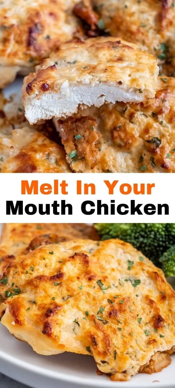 Test the tender perfection of Melt In Your Mouth Chicken, a dish so succulent and flavorful it lives up to its name. For a plethora of mouthwatering recipes that will make your dinners unforgettable, don't forget to follow us and keep your culinary adventures thriving! Melt In Your Mouth Chicken, Chicken Breast Recipes Baked, Easy Chicken Dinner Recipes, Chicken Meals, Winner Winner Chicken Dinner, Winner Winner, Chicken Dinners, Chicken Recipes Casserole, Idee Pasto Sano