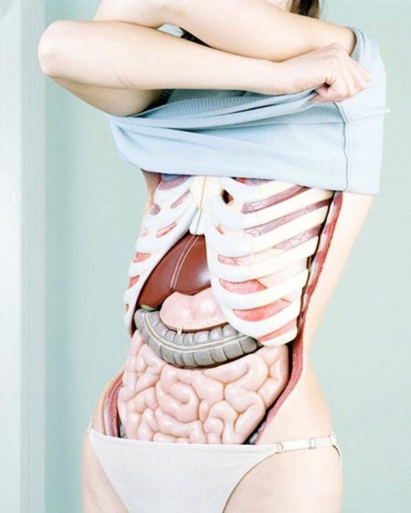 an image of a woman with her stomach exposed showing the human body's organs