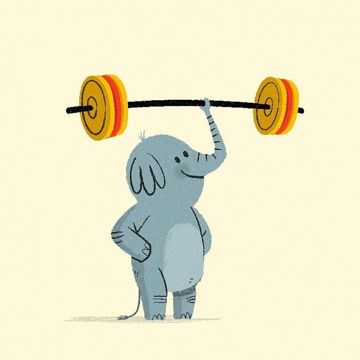 an elephant lifts a barbell on its back