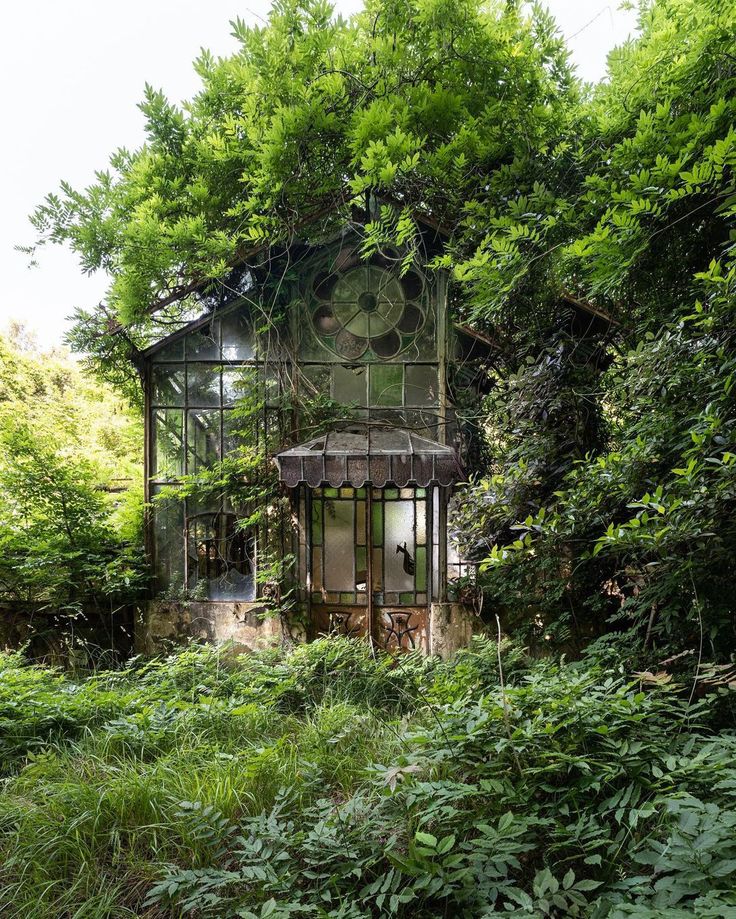 an old house in the middle of some bushes and trees with a window on it