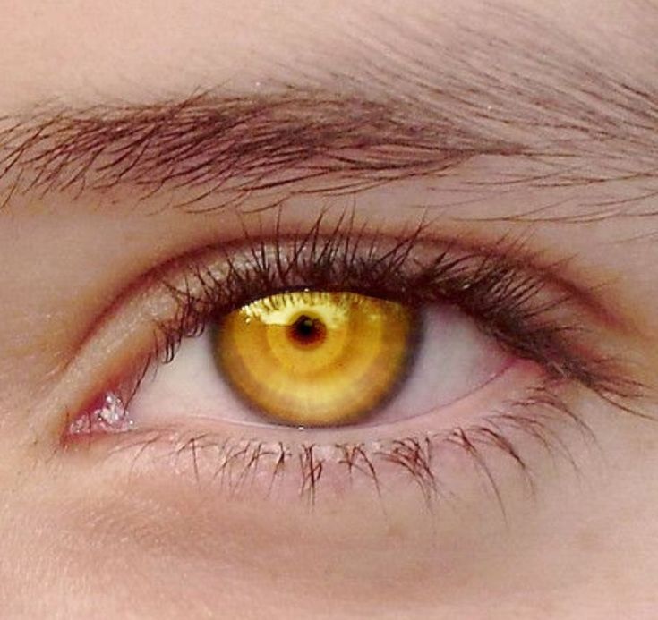 Yellow Iris Eye, Iris Eye, Golden Eyes, Magic Eyes, Aesthetic Eyes, Gold Eyes, Eye Makeup Art, Fantasy Aesthetic, Yellow Eyes