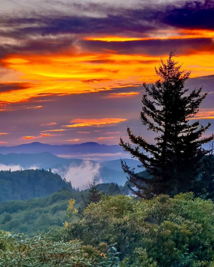 the sun is setting over mountains with trees in the foreground and clouds in the background