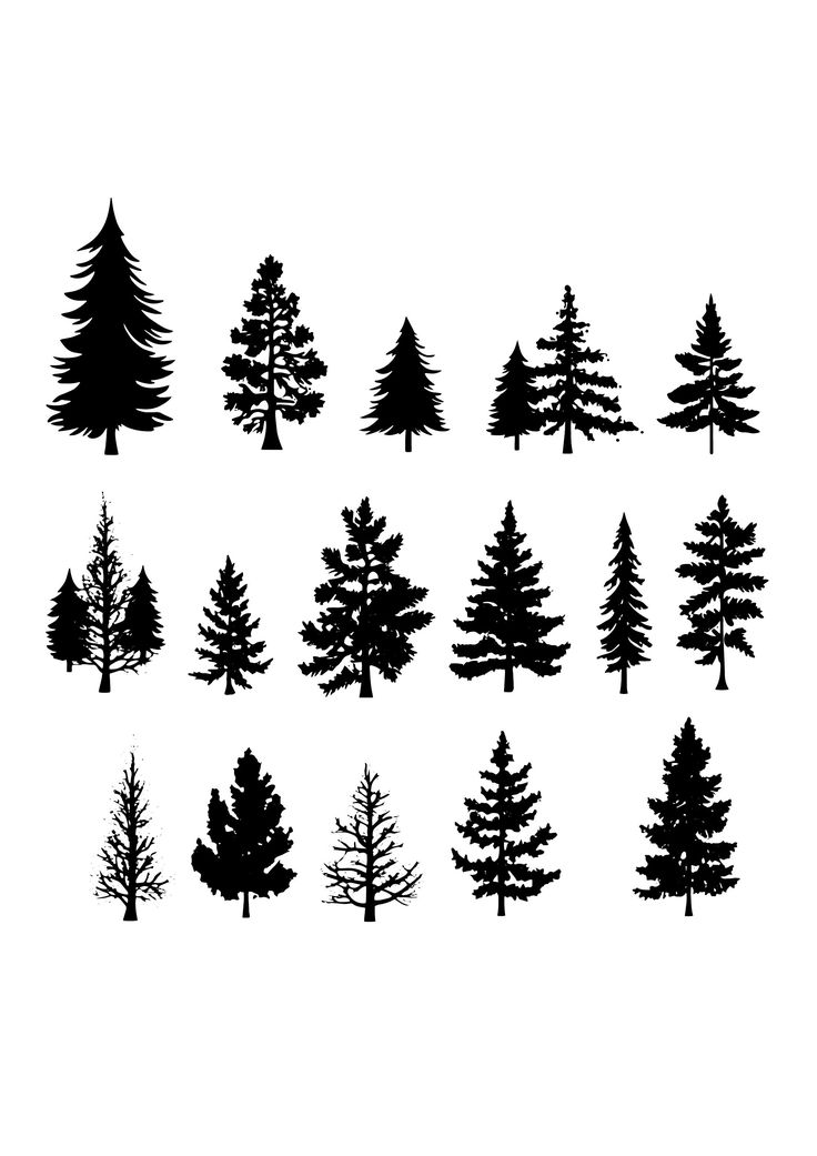 black and white silhouettes of pine trees on a white background, set of twelve