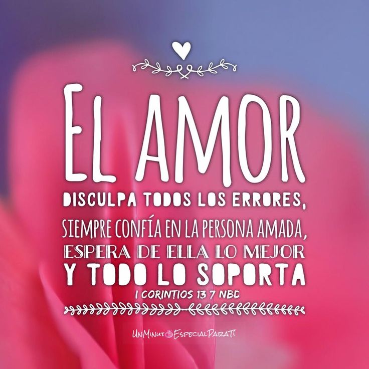 a pink flower with the words elamor in spanish