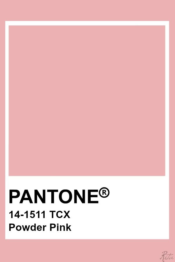 Powder Blush Pink, Powder Pink Color Palette, Pantone Pastel Pink, Powder Pink Bedroom, Dusty Pink Pantone, Powder Pink Aesthetic, Pink Color Swatch, Blush Pantone, Selamat Hari Valentine