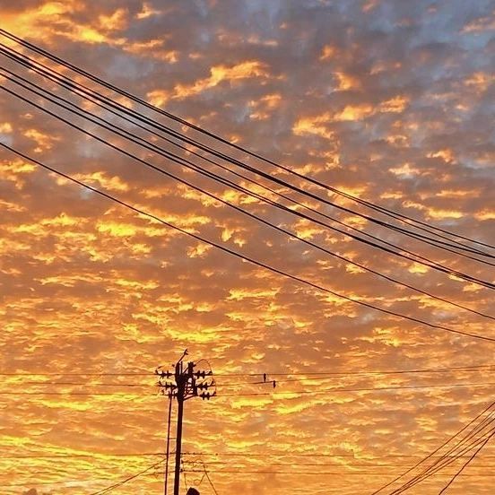 the sun is setting behind power lines and telephone poles