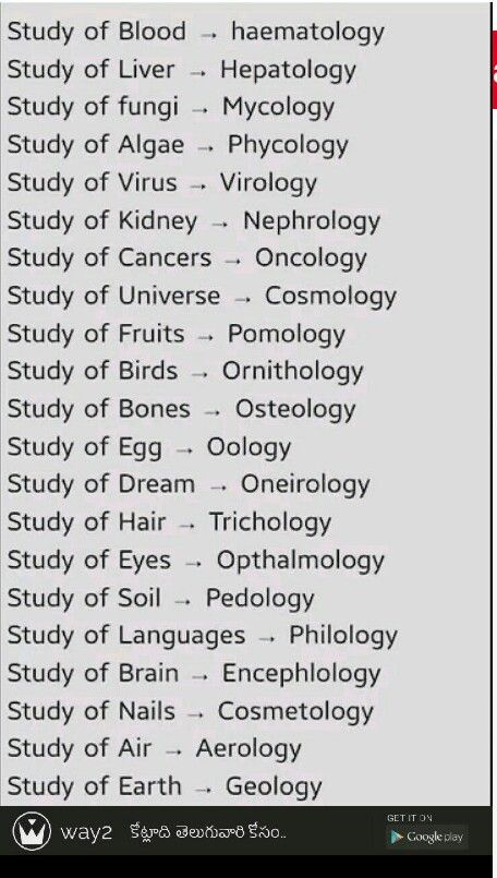 a table with words on it that say, study of blood and hematology