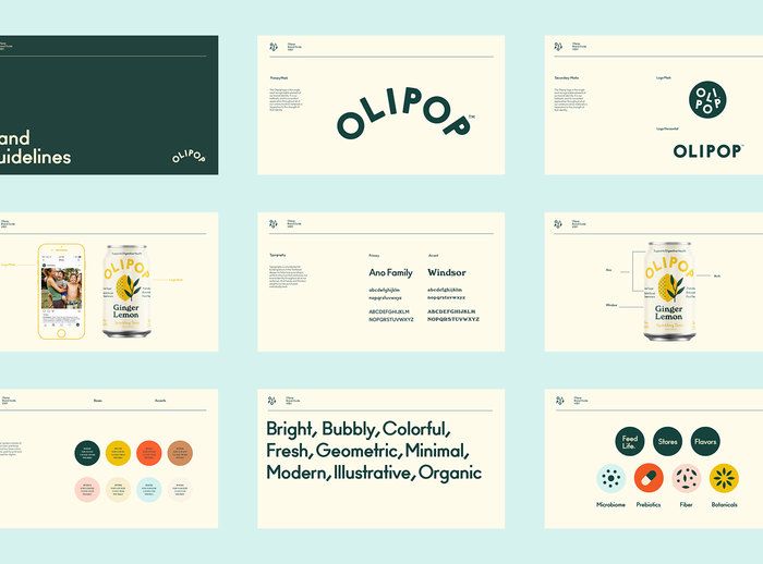 the brand guidelines are displayed in different styles and colors