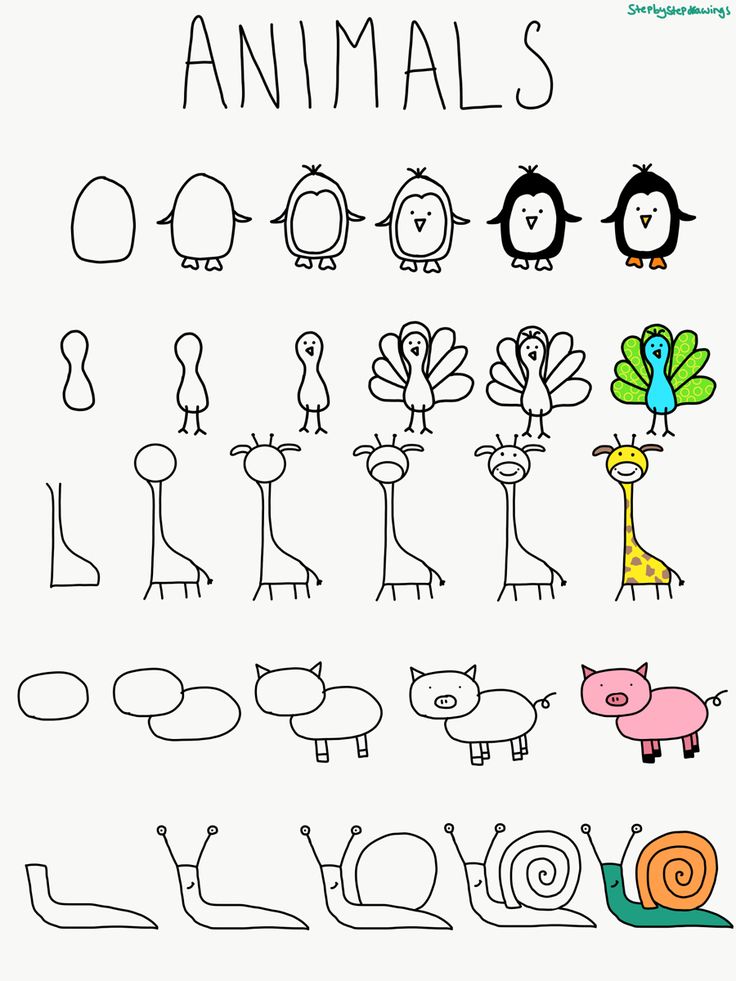 Step by step , doodles, animals, pig, peacock, snail, giraffe, penguin, draw, drawing , doodle, doodles, doodling Doodle Art Drawing Step By Step, Easy Doodle Animals, Animal How To Draw, Doodle Art Easy Simple Cute Animals, Cute Things To Draw Easy Doodles Step By Step, Fun Easy Doodles To Draw, Peacock Doodle Art Easy, Doodle Ideas Step By Step, Stuff To Draw Step By Step