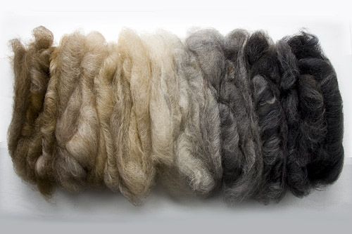 several skeins of wool are lined up on a white surface, one is gray and the other is brown