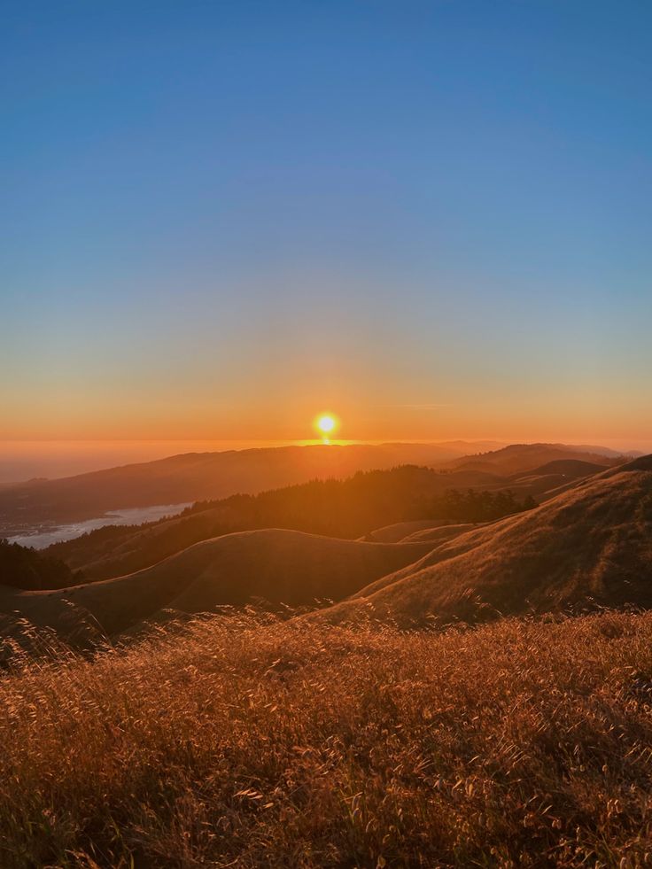 the sun is setting on top of a hill with tall grass in front of it