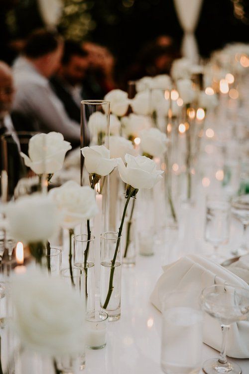 Babies Breath and White Roses Wedding — Bluegrass Chic Single White Rose Centerpiece Wedding, Round Table Low Centerpieces, Single White Roses Wedding Table, Wedding Table White Roses, Simple Flower Table Decor, White Florals And Candles Wedding, Single White Rose Centerpiece, Minimalist Wedding Tables, White Roses Wedding Centerpieces