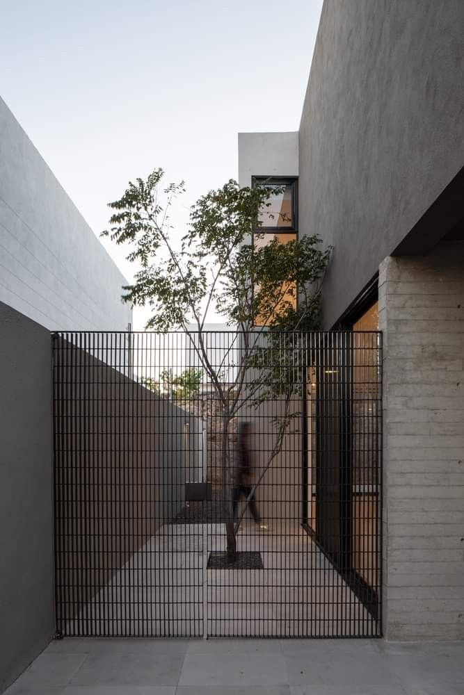 a man walking past a tree through a gated entrance to a building that is made out of concrete