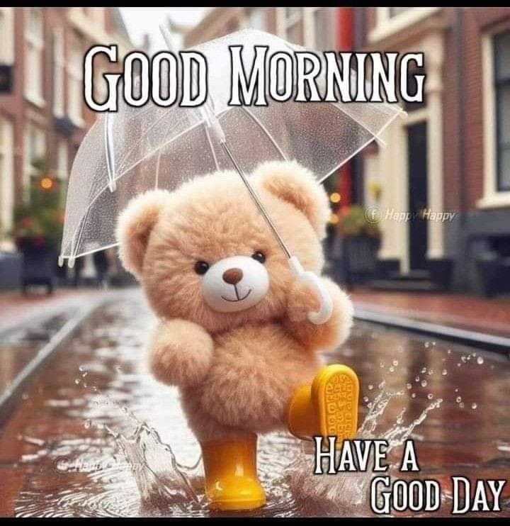 Good Morning Cold, Day And Night Quotes, Rainy Day Quotes, Teddy Bear Quotes, Good Morning Cat, Lovely Good Morning Images, Happy Day Quotes, Morning Cat, Good Morning Funny Pictures