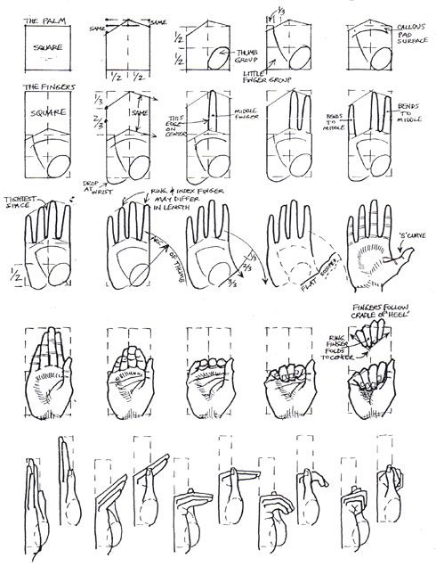 the instructions for how to draw hands in different positions and sizes, including one with two fingers