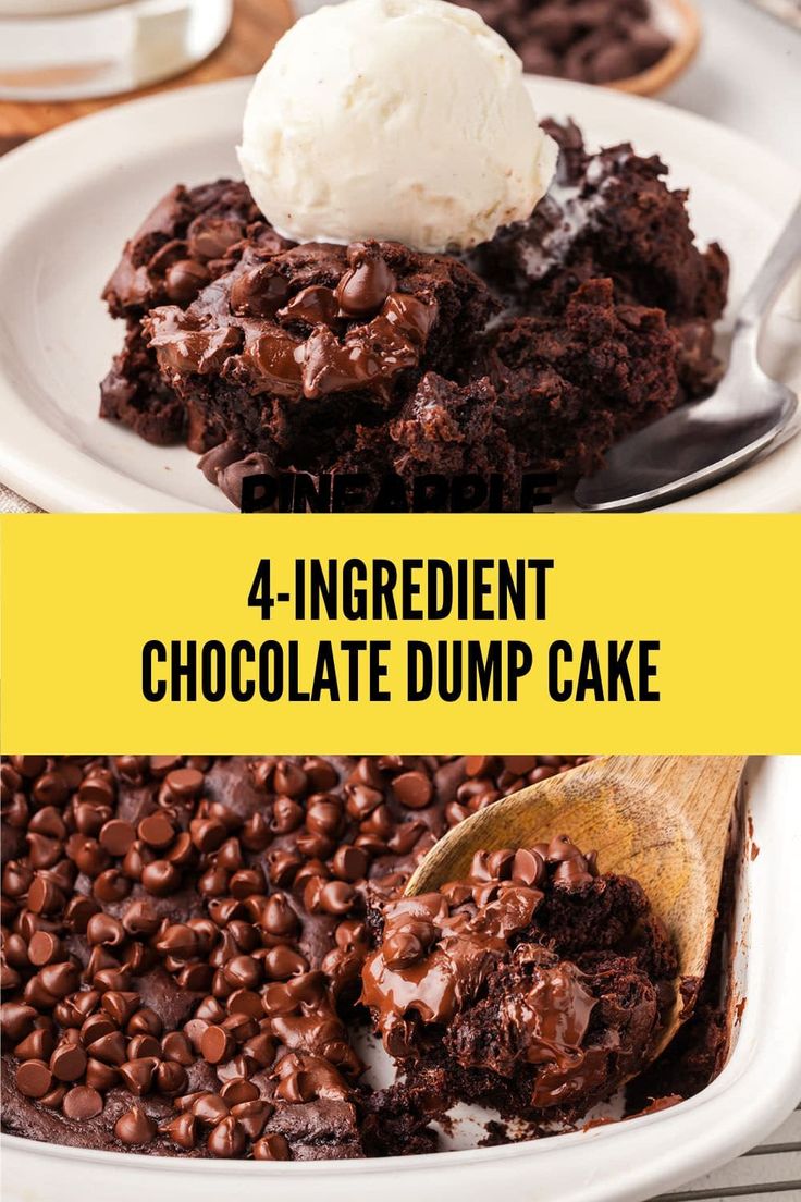 chocolate dump cake with ice cream on top and the words, 4 ingredient chocolate dump cake