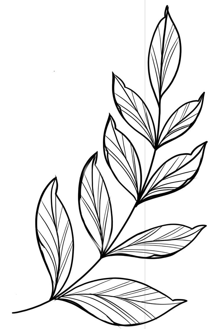 a black and white drawing of leaves