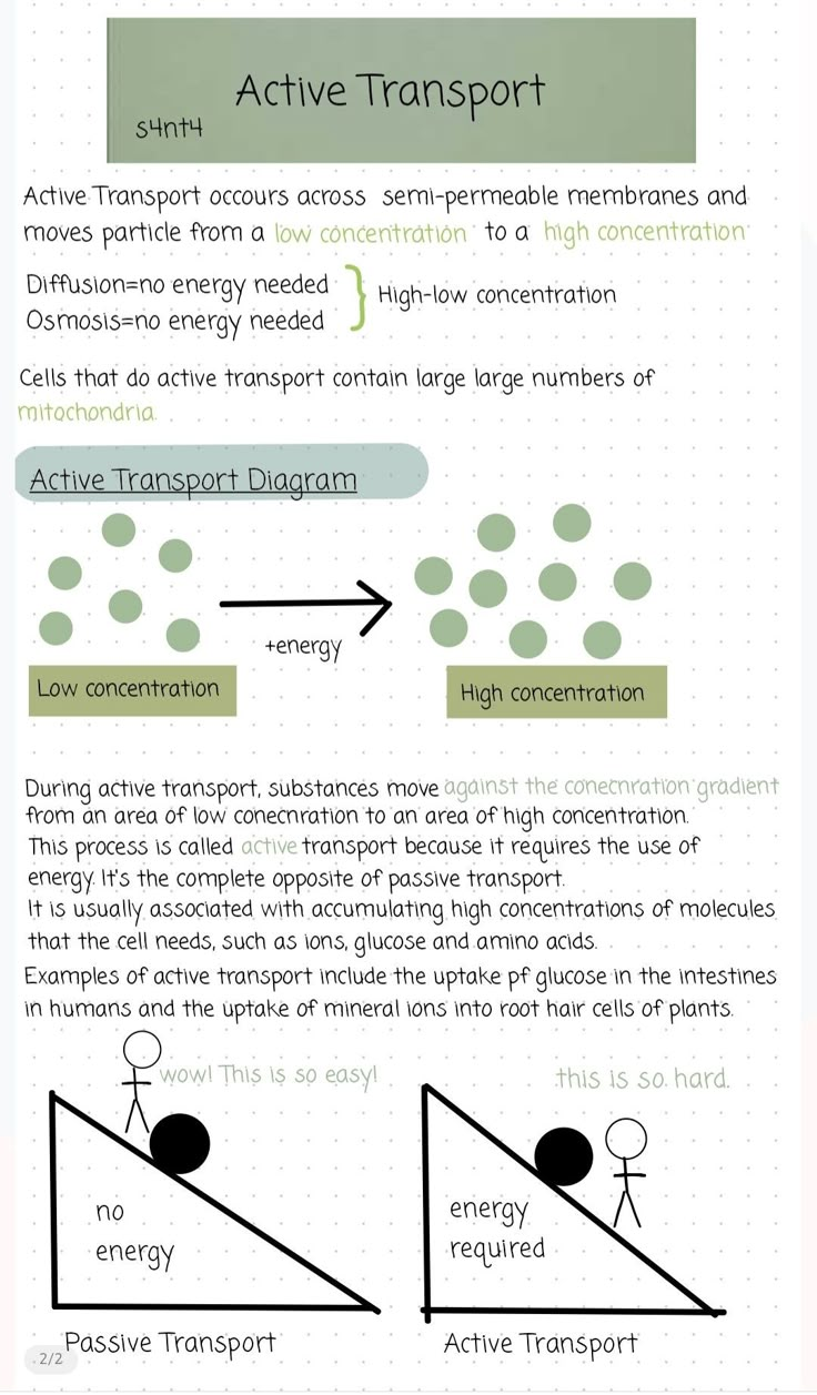 Revision 
Biology Active Transport Notes, Biology Revision Gcse Flashcards, Infection And Response Revision, Biology Information, Passive Transport Notes, Science Notes Template, Gcse Combined Science Revision, Cellular Transport Notes, Gcse Science Notes