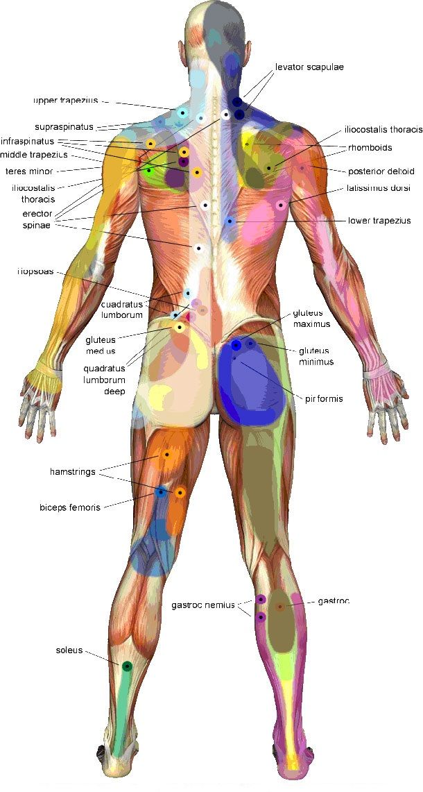 Trigger Point Massage Therapy Back Body Guide Head Diagram, Punkty Spustowe, Autogenic Training, Trigger Point Massage, Bolesti Chrbta, Trigger Point Therapy, Reflexology Massage, Trigger Point, Sports Massage