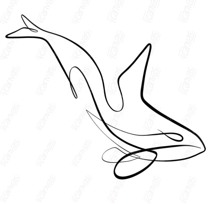 a drawing of a bird flying in the air with its wings spread out and it's tail extended