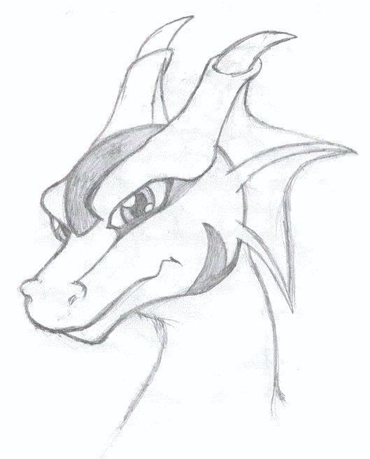 a drawing of a dragon's head with long horns and large, sharp eyes