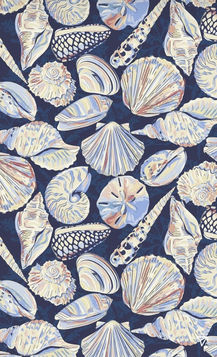 an image of seashells on a blue background