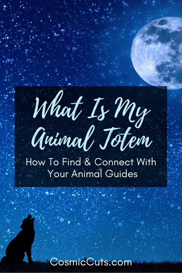 a wolf sitting on top of a hill under a full moon with the words, what is my animal totem? how to find and connect with your animal guides