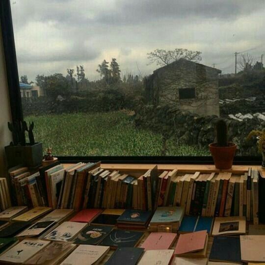 many books are stacked up on a window sill