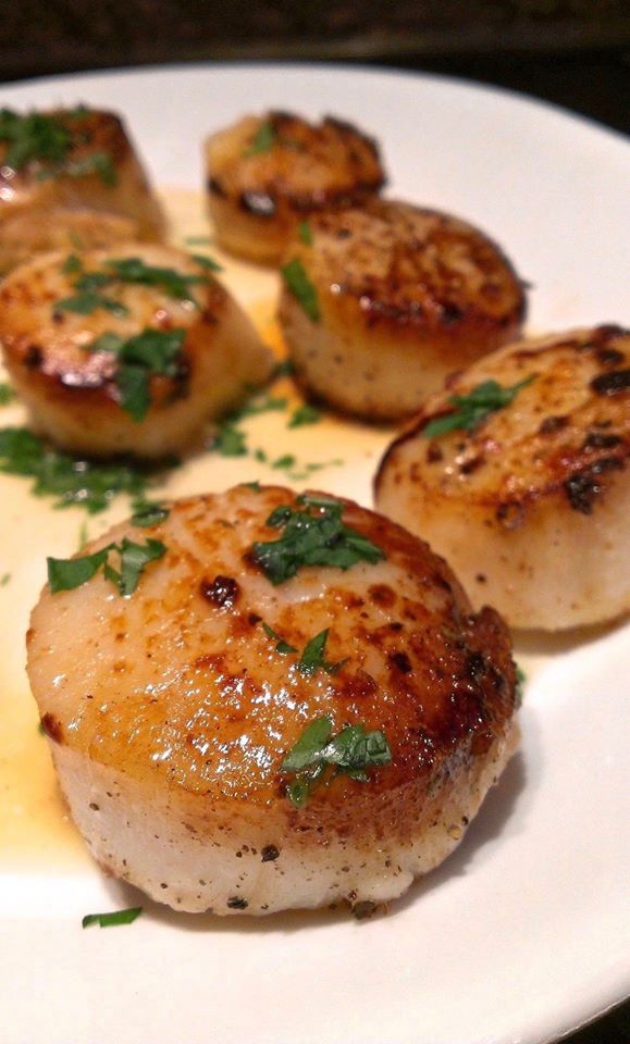 seared scallops on a white plate with parsley