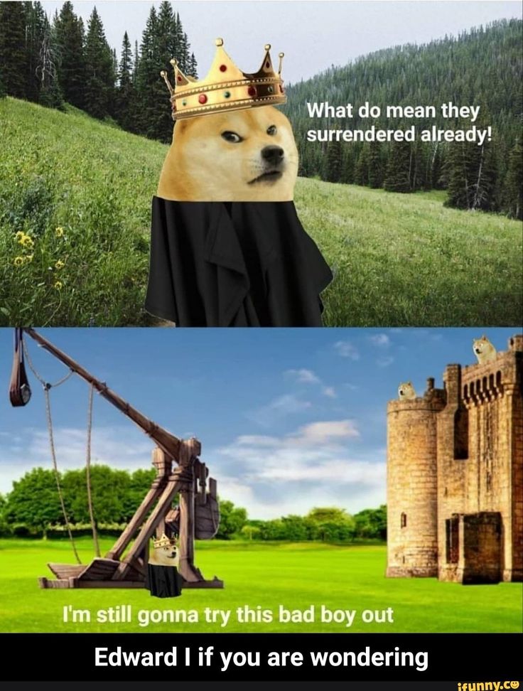 two pictures one with a dog wearing a crown and the other has a crane in front of it