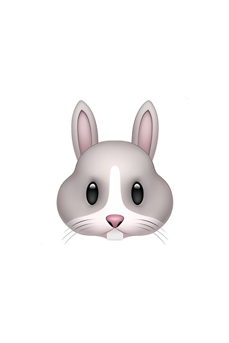 a white and gray rabbit face with black eyes